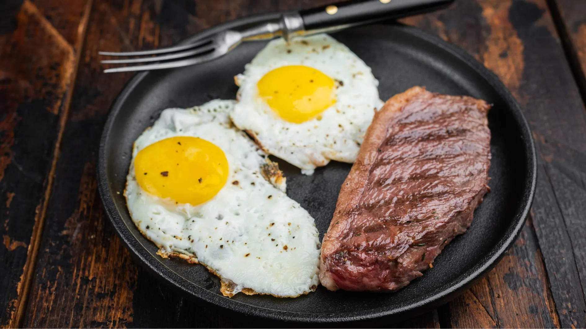 Why You Don't Bloat on the Carnivore Diet — Kiltz Health article